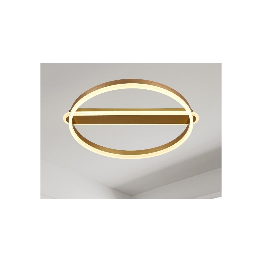 LED Stmievateľné stropné svietidlo LED/60W/230V 3000-6500K + diaľkové ovládanie