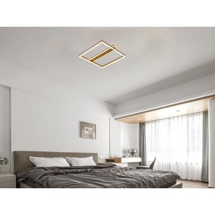 LED stmievateľné stropné svietidlo LED/60W/230V 3000-6500K + diaľkové ovládanie