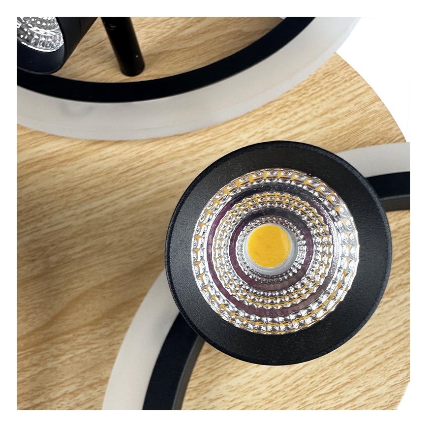 LED Stmievateľné stropné svietidlo LED/70W/230V 3000-6500K čierna/hnedá + diaľkové ovládanie