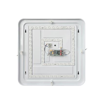 LED Stmievateľné stropné svietidlo MANA LED/36W/230V 2700-6500K 43x43 cm + diaľkové ovládanie