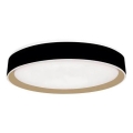 LED Stmievateľné stropné svietidlo s hlasovým ovládaním OPAL LED/48W/230V 2700-6500K čierna + diaľkové ovládanie
