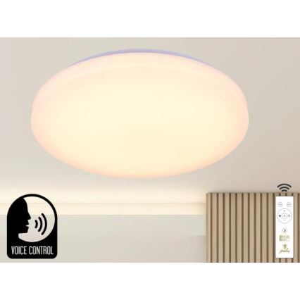 LED Stmievateľné stropné svietidlo s hlasovým ovládaním OPAL LED/48W/230V 2700-6500K biela + diaľkové ovládanie