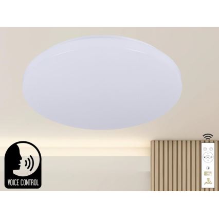 LED Stmievateľné stropné svietidlo s hlasovým ovládaním OPAL LED/48W/230V 2700-6500K biela + diaľkové ovládanie