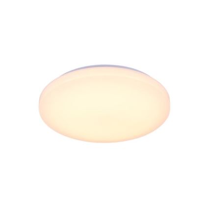 LED Stmievateľné stropné svietidlo s hlasovým ovládaním OPAL LED/48W/230V 2700-6500K biela + diaľkové ovládanie