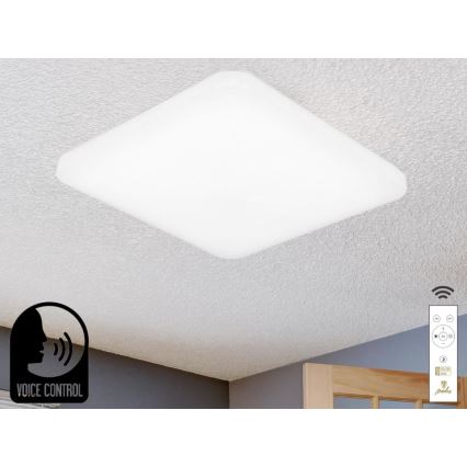 LED Stmievateľné stropné svietidlo s hlasovým ovládaním OPAL LED/48W/230V 2700-6500K biela + diaľkové ovládanie