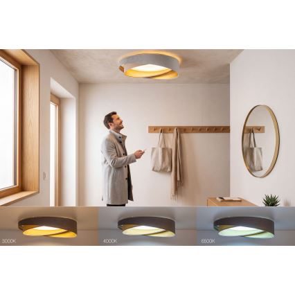 LED stmievateľné stropné svietidlo SMART GALAXY MODERN LED/24W/230V 3000-6500K priemer 55 cm sivá/béžová/zlatá + diaľkové ovládanie
