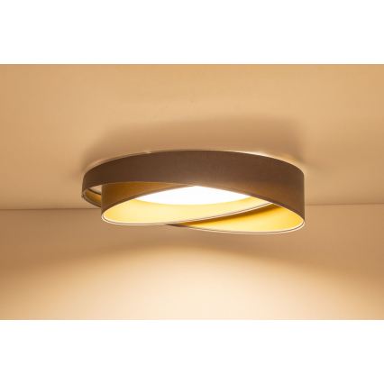 LED stmievateľné stropné svietidlo SMART GALAXY MODERN LED/24W/230V 3000-6500K priemer 55 cm sivá/zlatá + diaľkové ovládanie