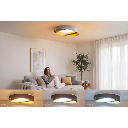LED stmievateľné stropné svietidlo SMART GALAXY MODERN LED/24W/230V 3000-6500K priemer 55 cm sivá/zlatá + diaľkové ovládanie