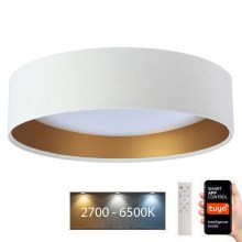 LED Stmievateľné stropné svietidlo SMART GALAXY LED/36W/230V pr. 55 cm 2700-6500K Wi-Fi Tuya biela/zlatá + diaľkové ovládanie