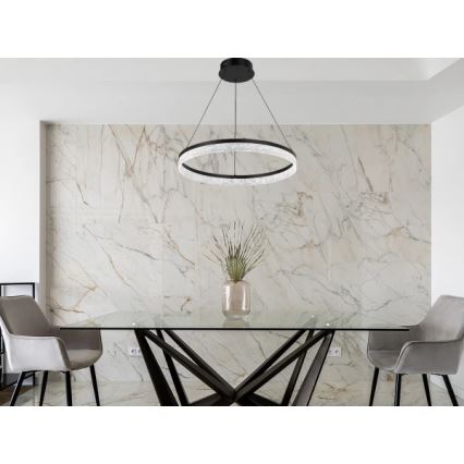 LED stmievateľný luster na lanku ALIANZ LED/60W/230V 3000-6000K pr. 80 cm + diaľkové ovládanie