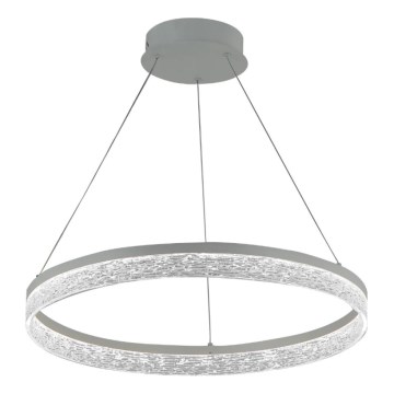 LED stmievateľný luster na lankách ALIANZ LED/60W/230V 3000-6000K pr. 80 cm + diaľkové ovládanie
