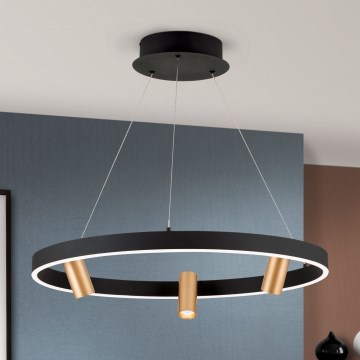 LED Stmievateľný luster na lanku BERLIN LED/50W/230V čierna/zlatá