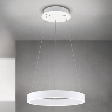 LED stmievateľný luster na lanku KOLK LED/40W/230V 2700/3000/4000K pr. 40 cm biela