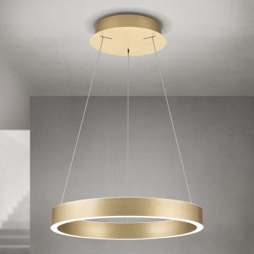 LED stmievateľný luster na lanku KOLK LED/40W/230V 2700/3000/4000K pr. 40 cm zlatá