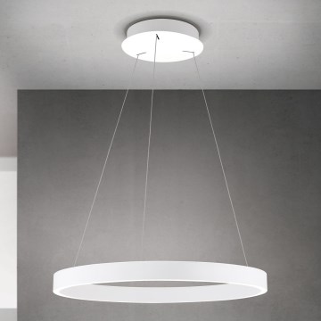 LED Stmievateľný luster na lanku KOLK LED/60W/230V 2700/3000/4000K pr. 60 cm biela