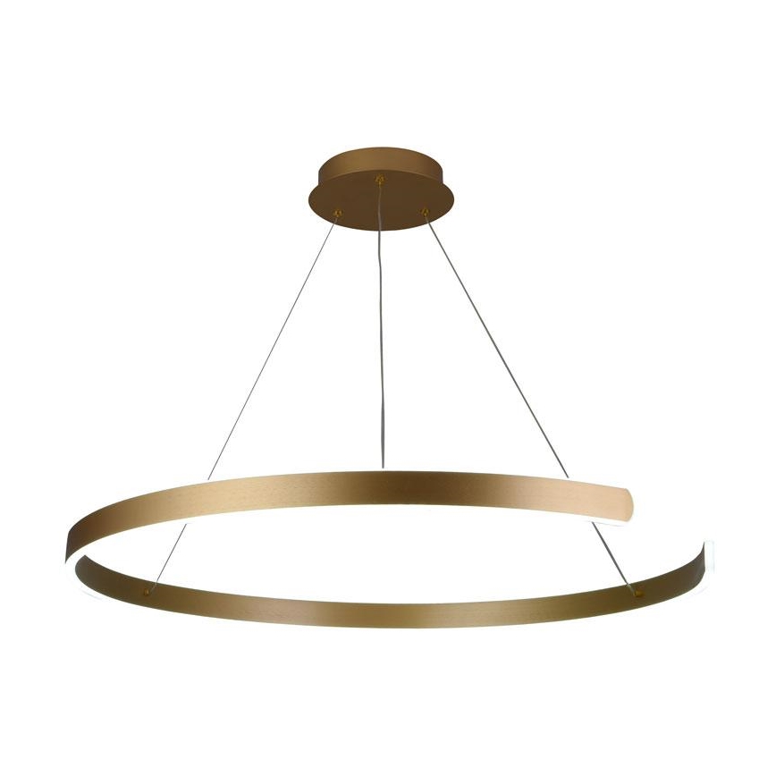 LED Stmievateľný luster na lanku LED/100W/230V 3000-6500K + diaľkové ovládanie