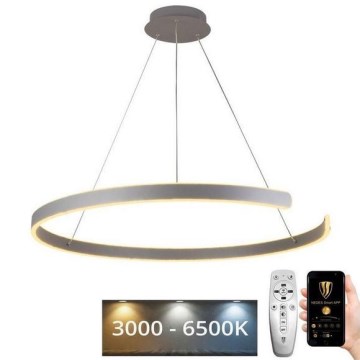 LED Stmievateľný luster na lanku LED/100W/230V 3000-6500K + diaľkové ovládanie