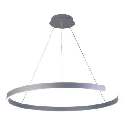 LED Stmievateľný luster na lanku LED/100W/230V 3000-6500K pr. 80 cm + diaľkové ovládanie