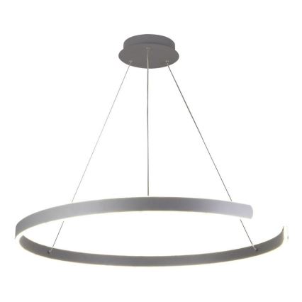LED Stmievateľný luster na lanku LED/100W/230V 3000-6500K pr. 80 cm + diaľkové ovládanie
