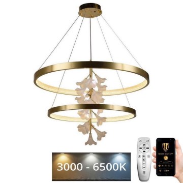 LED Stmievateľný luster na lanku LED/100W/230V 3000-6500K + diaľkové ovládanie