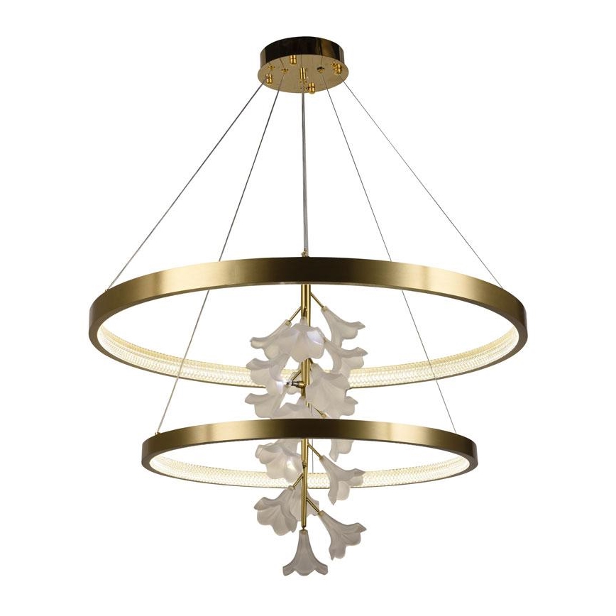 LED Stmievateľný luster na lanku LED/100W/230V 3000-6500K + diaľkové ovládanie