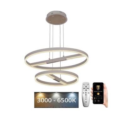 LED Stmievateľný luster na lanku LED/100W/230V 3000-6500K + diaľkové ovládanie