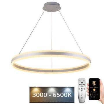 LED Stmievateľný luster na lanku LED/110W/230V 3000-6500K pr. 80 cm + diaľkové ovládanie