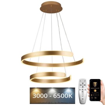 LED Stmievateľný luster na lanku LED/120W/230V 3000-6500K pr. 60 cm + diaľkové ovládanie
