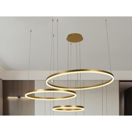 LED Stmievateľný luster na lanku LED/125W/230V 3000-6500K + diaľkové ovládanie