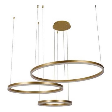LED Stmievateľný luster na lanku LED/125W/230V 3000-6500K pr. 80 cm + diaľkové ovládanie