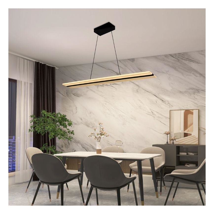 LED Stmievateľný luster na lanku LED/40W/230V 3000-6500K čierna + diaľkové ovládanie