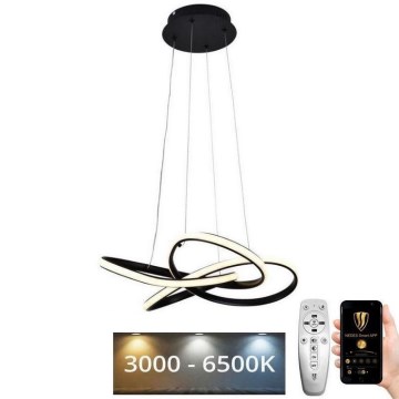 LED Stmievateľný luster na lanku LED/40W/230V 3000-6500K čierna + diaľkové ovládanie