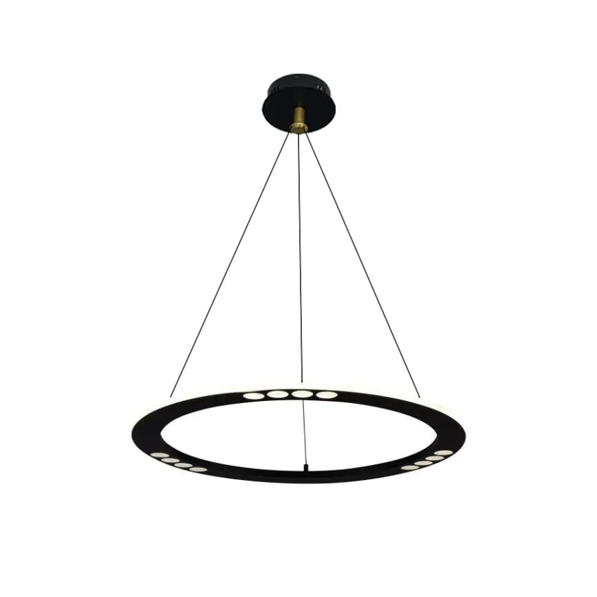 LED Stmievateľný luster na lanku LED/40W/230V 3000-6500K + diaľkové ovládanie