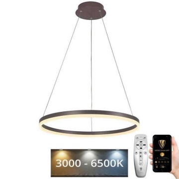 LED Stmievateľný luster na lanku LED/42W/230V 3000-6500K + diaľkové ovládanie