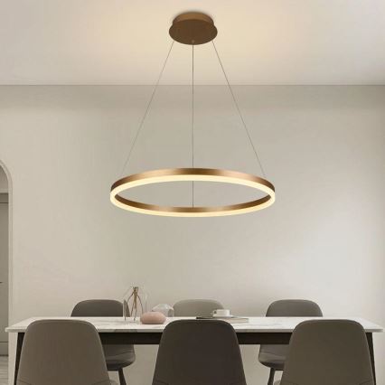 LED Stmievateľný luster na lanku LED/42W/230V 3000-6500K pr. 60 cm + diaľkové ovládanie