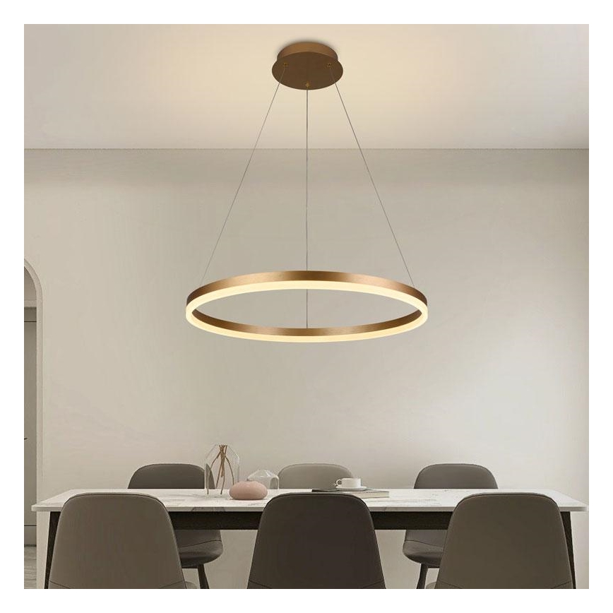 LED Stmievateľný luster na lanku LED/42W/230V 3000-6500K pr. 60 cm + diaľkové ovládanie