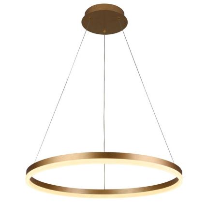 LED Stmievateľný luster na lanku LED/42W/230V 3000-6500K pr. 60 cm + diaľkové ovládanie