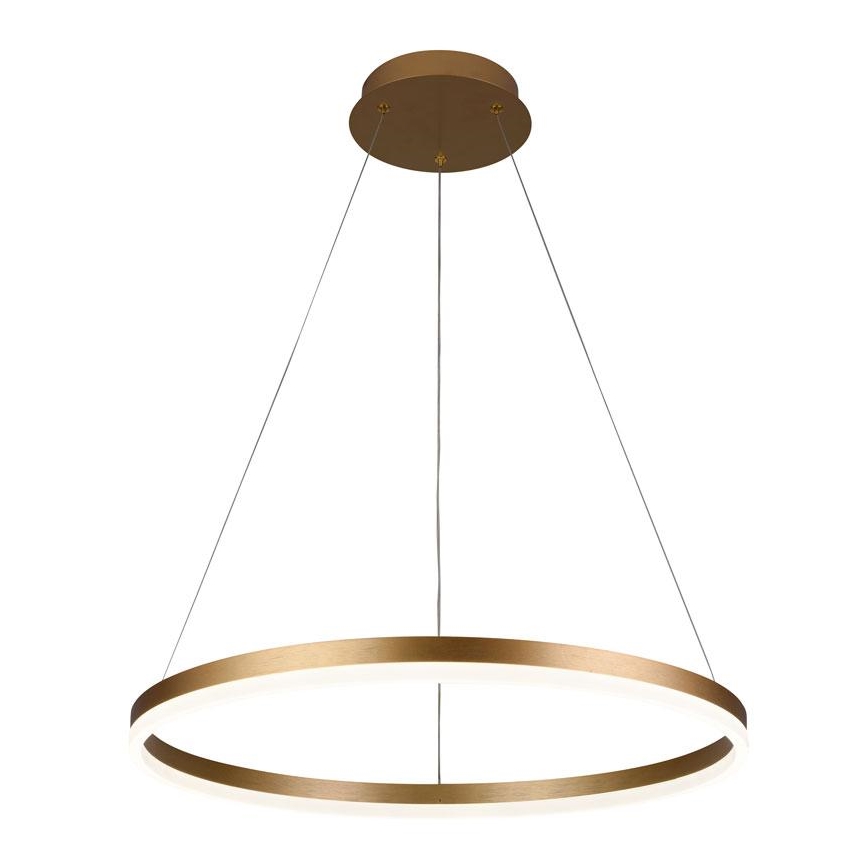 LED Stmievateľný luster na lanku LED/42W/230V 3000-6500K pr. 60 cm + diaľkové ovládanie