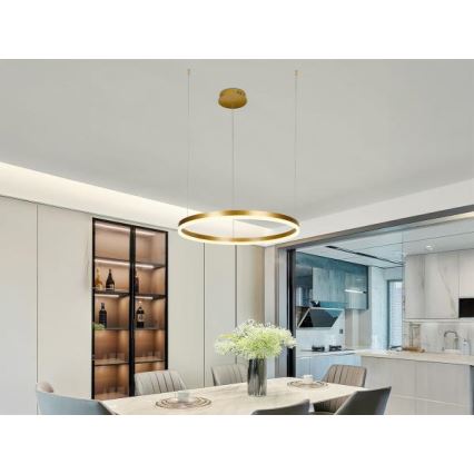 LED Stmievateľný luster na lanku LED/42W/230V 3000-6500K pr. 60 cm + diaľkové ovládanie