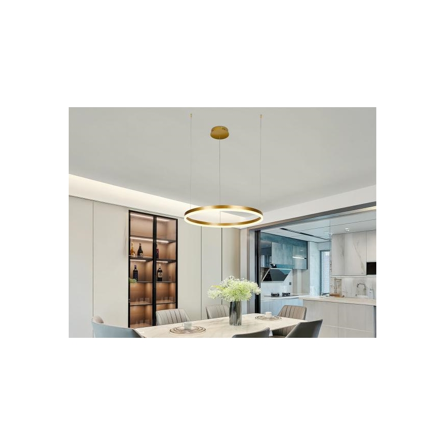 LED Stmievateľný luster na lanku LED/42W/230V 3000-6500K pr. 60 cm + diaľkové ovládanie