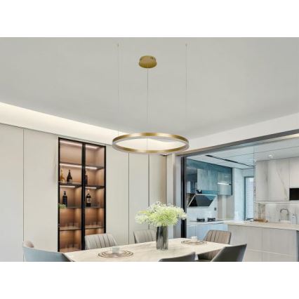 LED Stmievateľný luster na lanku LED/42W/230V 3000-6500K pr. 60 cm + diaľkové ovládanie