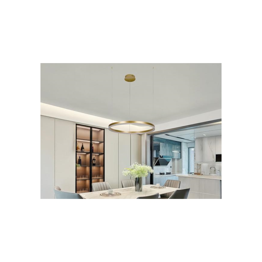 LED Stmievateľný luster na lanku LED/42W/230V 3000-6500K pr. 60 cm + diaľkové ovládanie