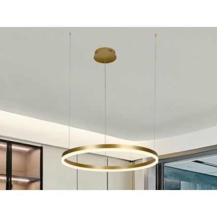 LED Stmievateľný luster na lanku LED/42W/230V 3000-6500K pr. 60 cm + diaľkové ovládanie