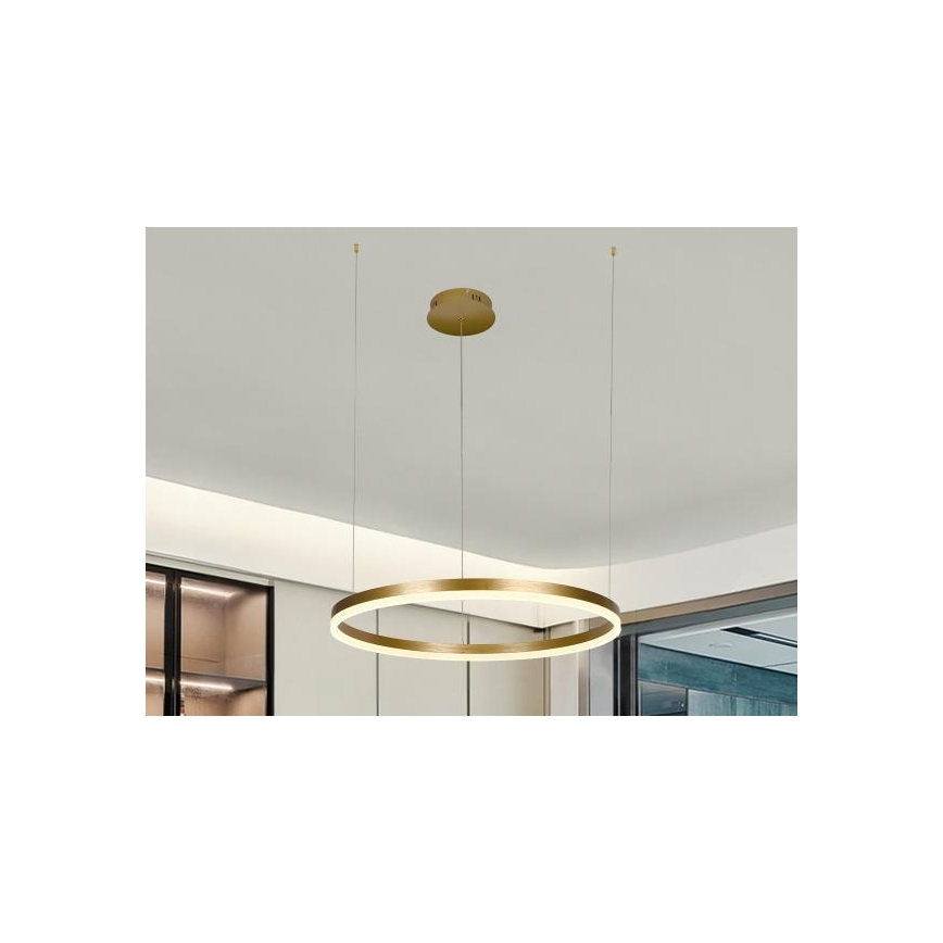 LED Stmievateľný luster na lanku LED/42W/230V 3000-6500K pr. 60 cm + diaľkové ovládanie