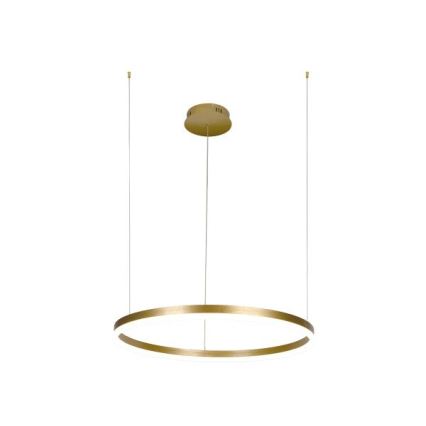 LED Stmievateľný luster na lanku LED/42W/230V 3000-6500K pr. 60 cm + diaľkové ovládanie