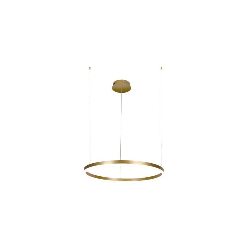 LED Stmievateľný luster na lanku LED/42W/230V 3000-6500K pr. 60 cm + diaľkové ovládanie