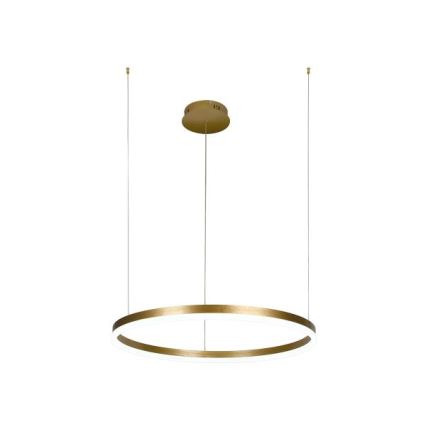 LED Stmievateľný luster na lanku LED/42W/230V 3000-6500K pr. 60 cm + diaľkové ovládanie