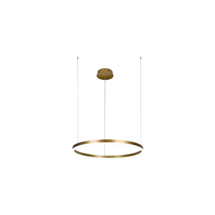 LED Stmievateľný luster na lanku LED/42W/230V 3000-6500K pr. 60 cm + diaľkové ovládanie