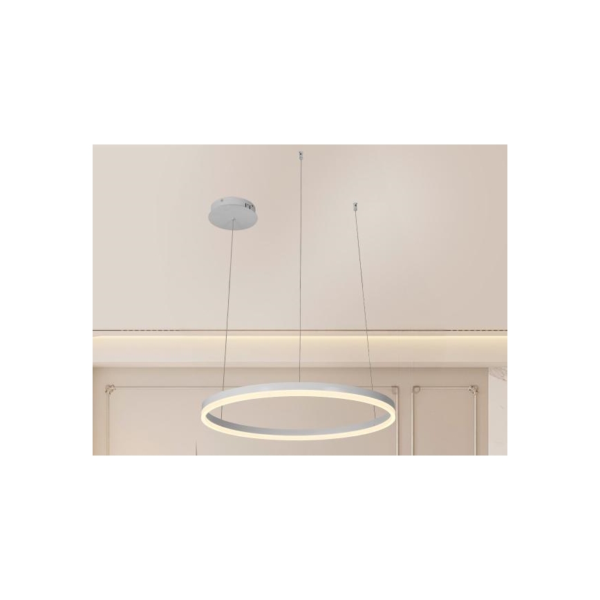 LED Stmievateľný luster na lanku LED/42W/230V 3000-6500K + diaľkové ovládanie