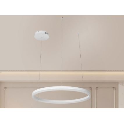 LED Stmievateľný luster na lanku LED/42W/230V 3000-6500K pr. 60 cm + diaľkové ovládanie